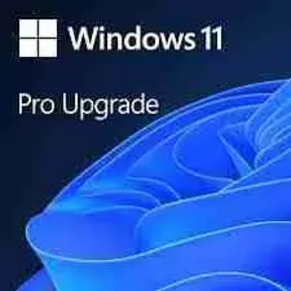 DG7GMGF0D8H4-4-P Windows 11 Pro Upgrade